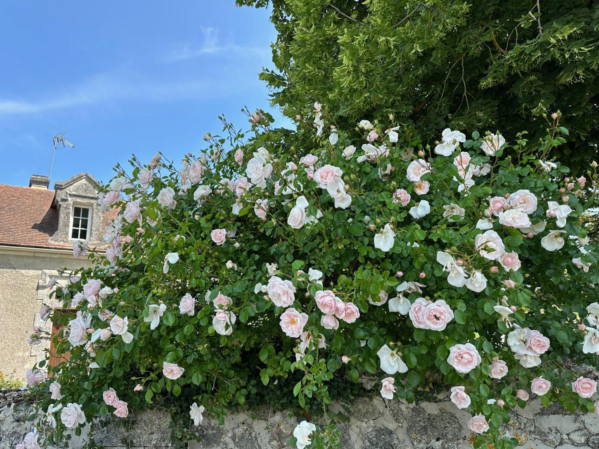 Hotel & Spa Chateau De La Cote - Brantome Biras Экстерьер фото